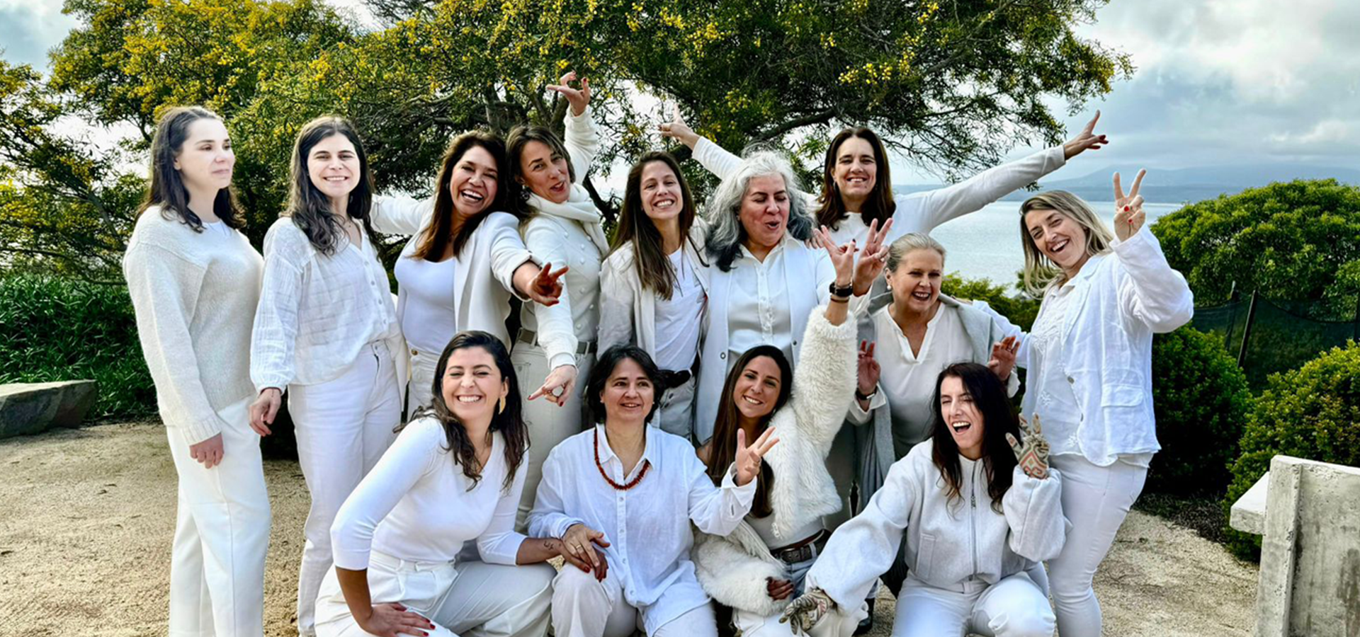 Advance Consultores Empresas