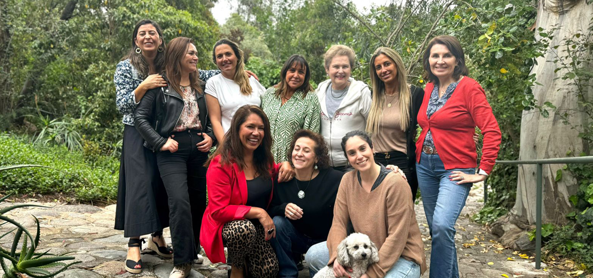 Advance Consultores Empresas